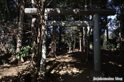 香取神社　流山市野々下1