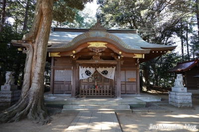 大宮神社　流山市平和台13