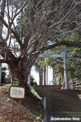 大宮神社　流山市平和台1