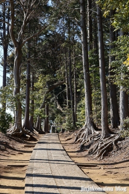 大宮神社　流山市平和台5