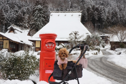 美山かやぶきの里