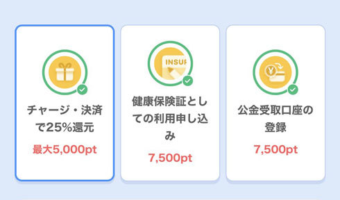 マイナポイント受け取り画面　PayPay