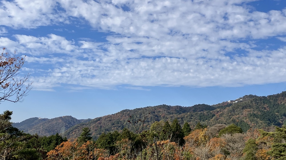 IMG_4054摩耶山