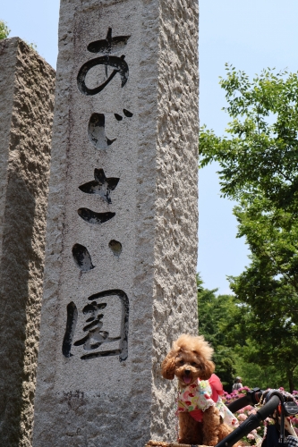 蜻蛉池公園