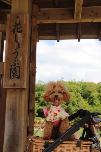 山田池公園