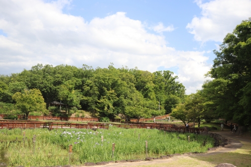 山田池公園