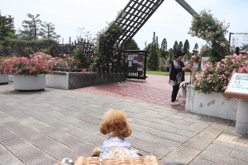 浜寺公園