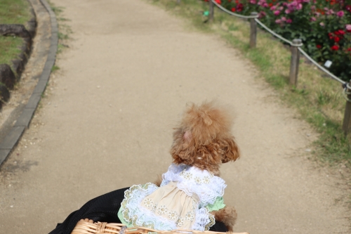 浜寺公園