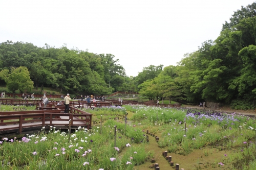 山田池公園