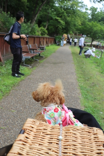 山田池公園