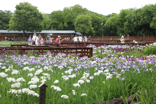 山田池公園