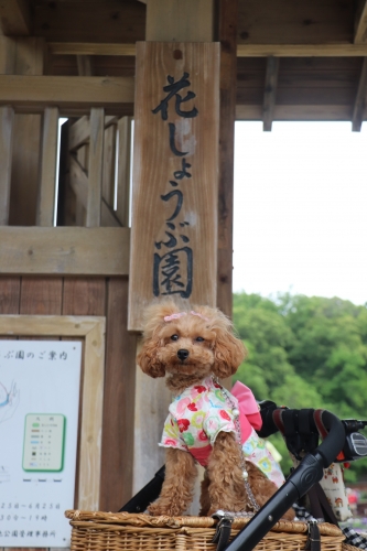 山田池公園