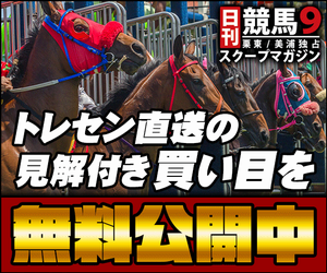 日刊競馬９300_250.