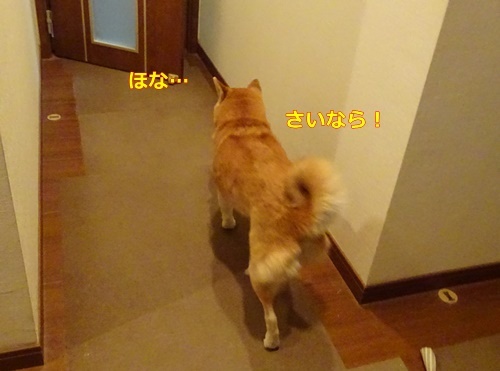 4さいなら