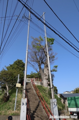 長沼八幡社　横浜市栄区栄区長沼町1