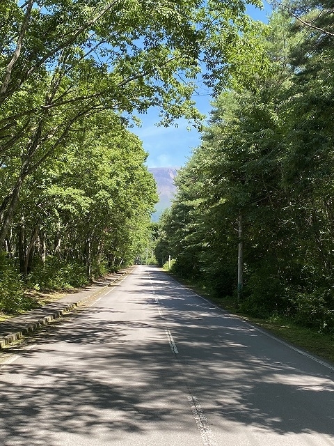 今日の散歩道