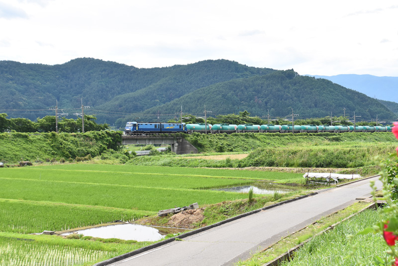 2024年6月22日撮影　東線貨物2084ﾚ　EH200-7号機が牽く緑タキ