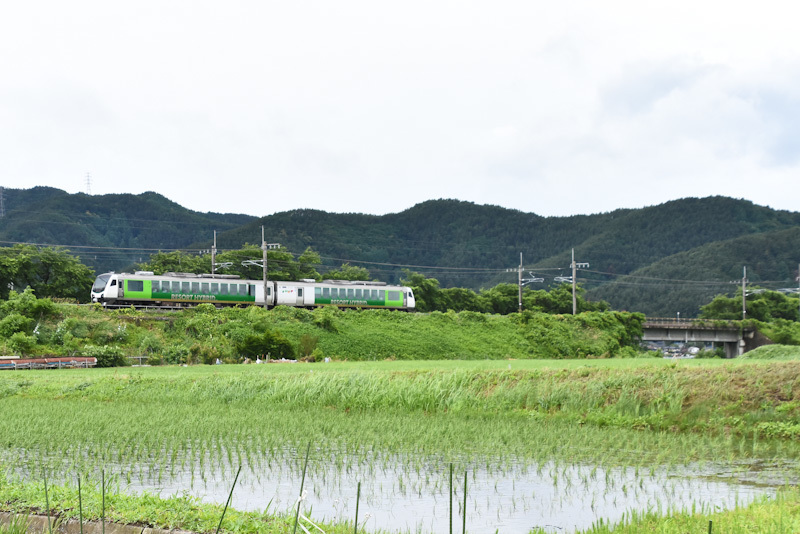 2024年6月23日撮影　9580D　HBｰE300系「リゾートビュー諏訪湖」　　緑の中