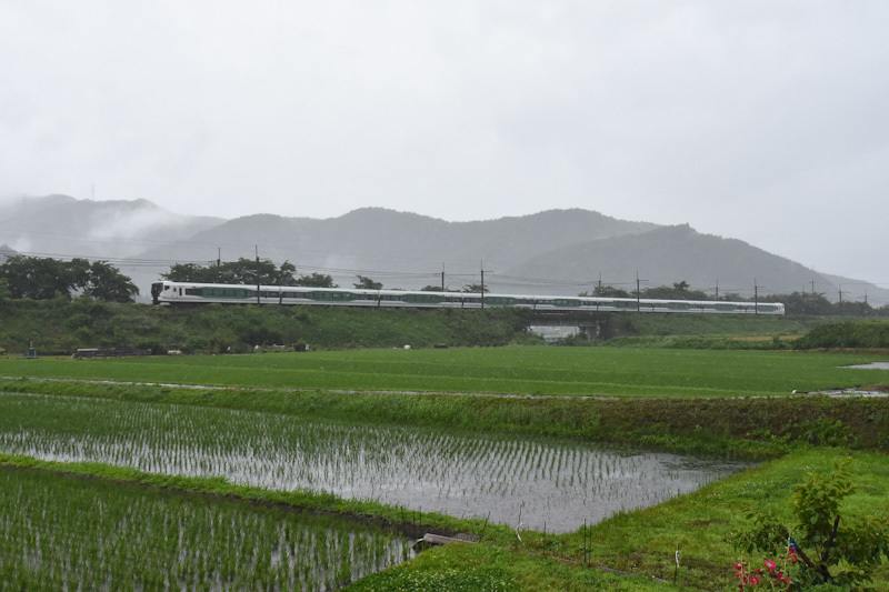 2024年6月23日撮影　8074M　E257系5000番台　OM93編成　「あずさ74号」　雨が降る中