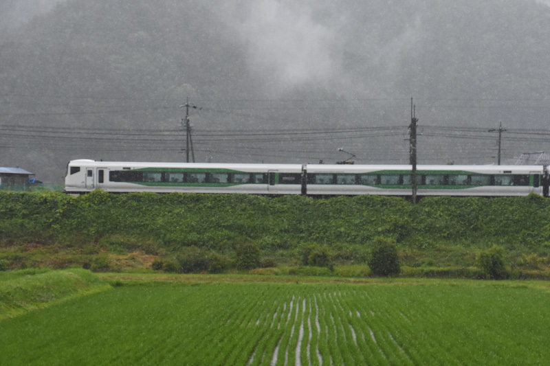 2024年6月23日撮影　8074M　E257系5000番台　OM93編成　「あずさ74号」　雨が降る中　先頭車両