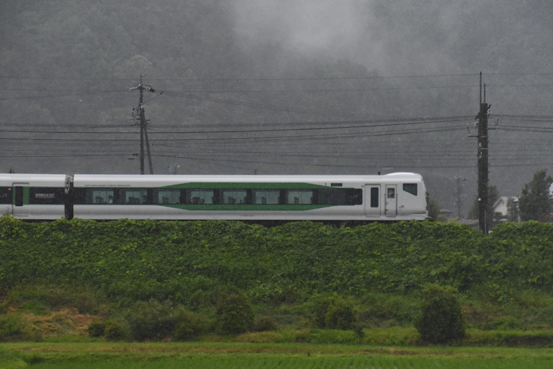 2024年6月23日撮影　8074M　E257系5000番台　OM93編成　「あずさ74号」　雨が降る中　お尻の車両