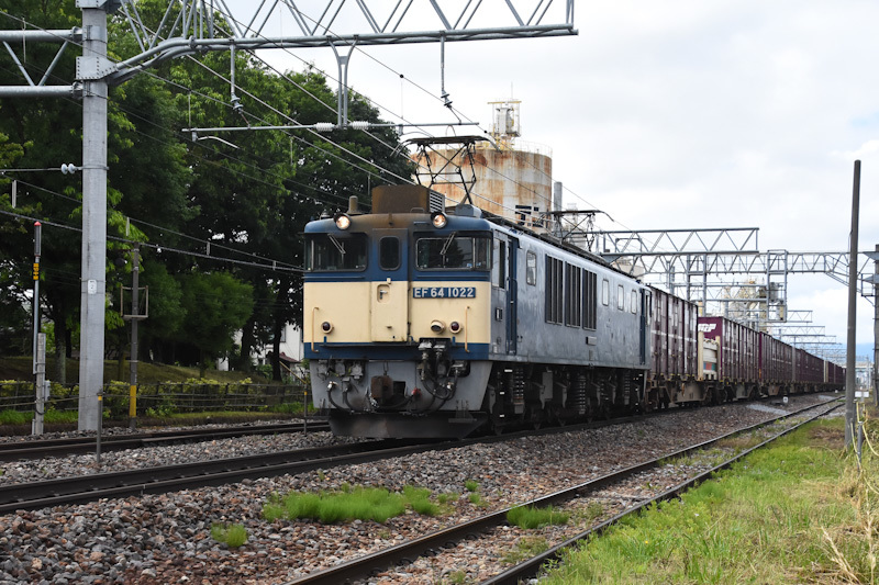 2024年6月29日撮影　南松本にて　西線貨物81ﾚ　EF64-1022号機