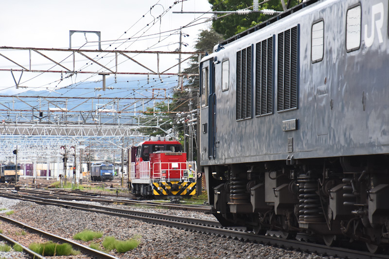 2024年6月29日撮影　南松本にて　西線貨物81ﾚ　EF64-1022号機　後撃ち