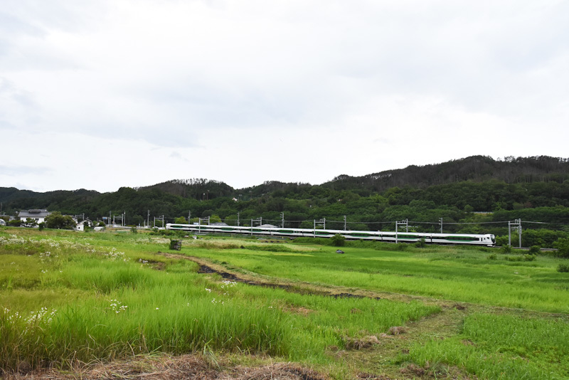 2024年6月30日撮影　E257系5000番台　OM93編成　あずさ74号　送り込み回送　坂北カーブ