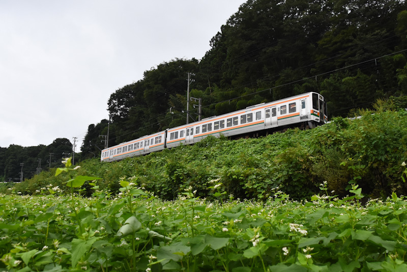 2024年8月25日撮影　飯田線　206M　213系　蕎麦の花と