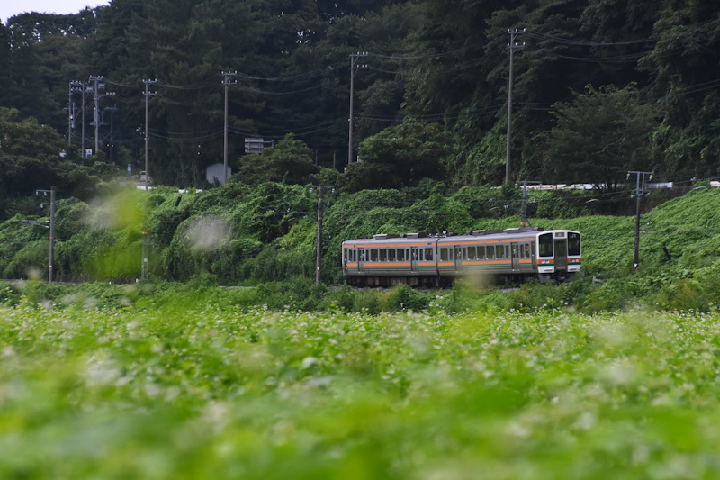 2024年8月25日撮影　飯田線　206M　213系　蕎麦の花と　2