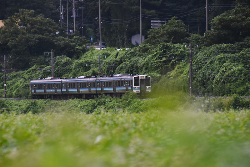 2024年8月25日撮影　飯田線　2201M　211系　蕎麦の花と　快速みすず