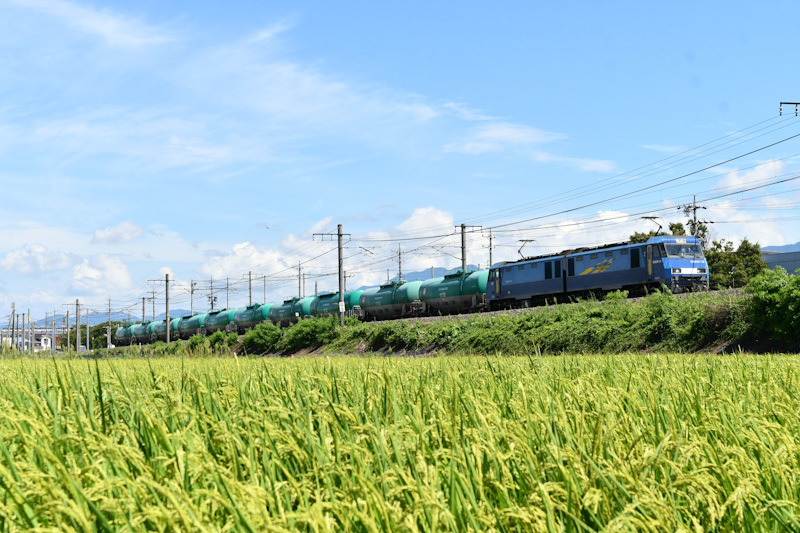 2024年8月23日撮影　東線貨物2080ﾚ　EH200-13号機