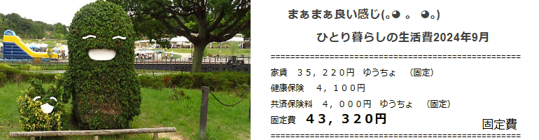 まぁまぁ良い感じひとり暮らしの生活費2024年9月