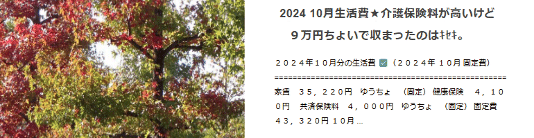 介護保険料が高いけど９万円ちょいで収まったのはｷｾｷ。