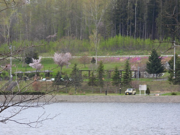 桜岡湖