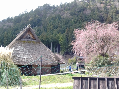 美山かやぶきの里