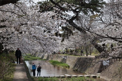 夙川