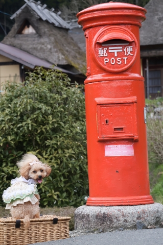 美山かやぶきの里