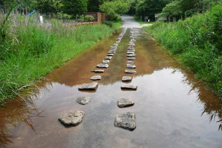 堰堤上の道