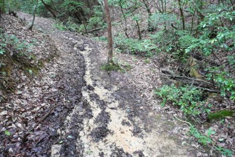 ぬかるむ登山道