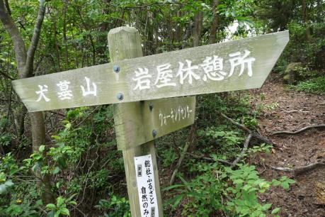 犬墓山山頂への分岐