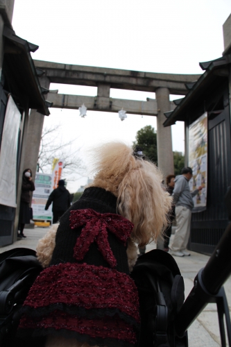 大阪天満宮　節分祭