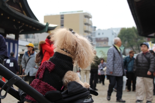 大阪天満宮　節分祭