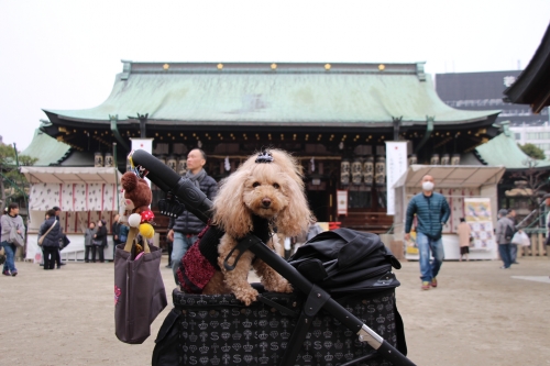 大阪天満宮　節分祭