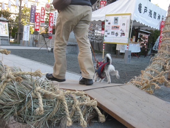 3大茅輪くぐり2　0102