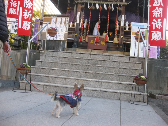 4浅間神社様　0102