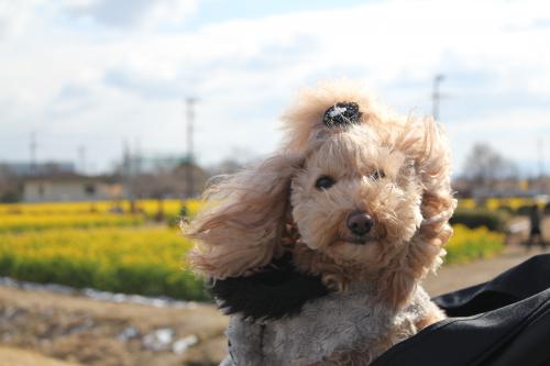 なぎさ公園