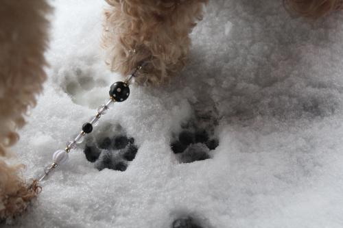 雪を求めて…滋賀