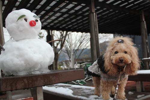 雪を求めて…滋賀