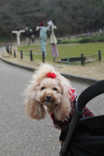 錦織公園